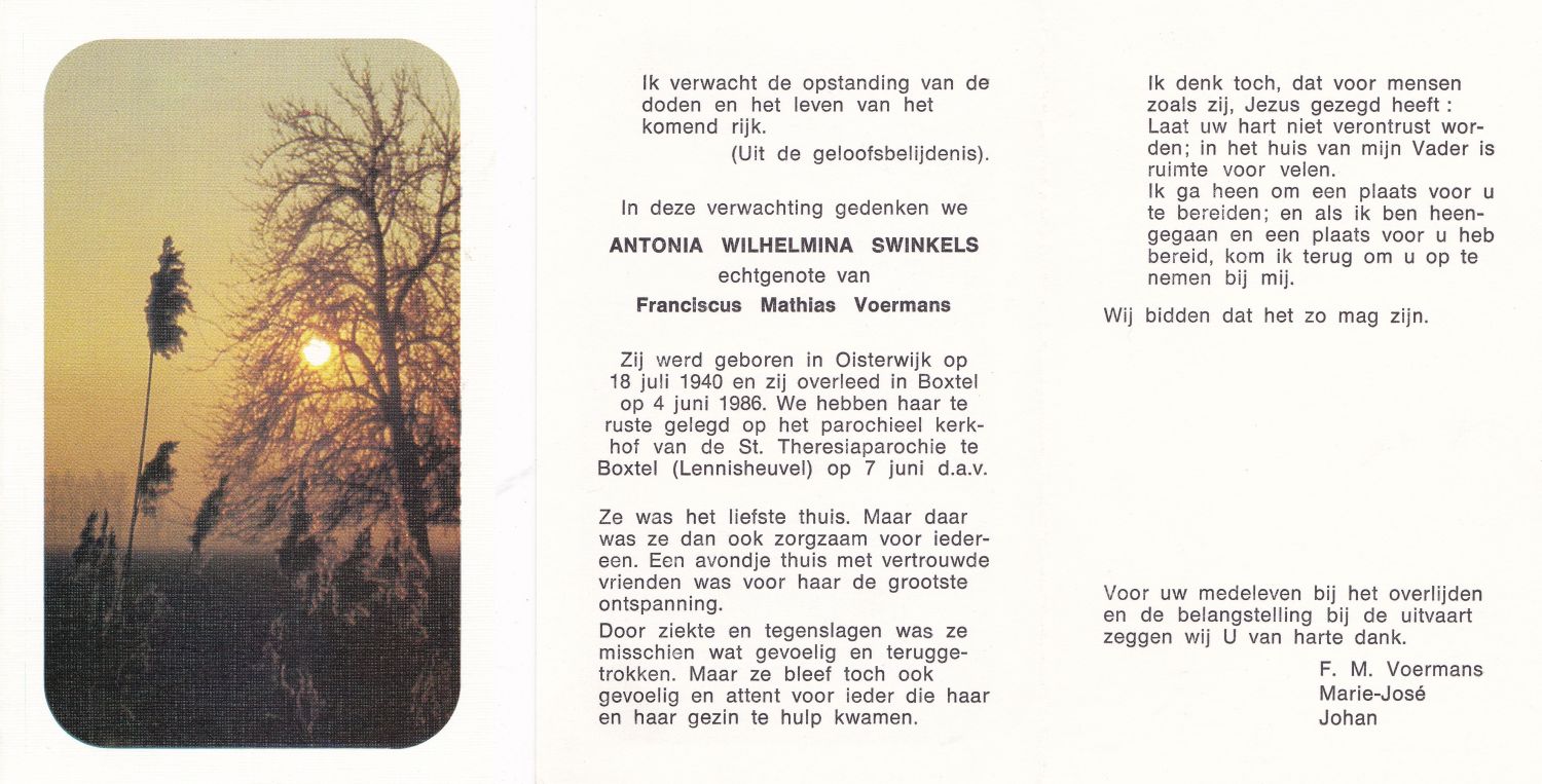 Scan